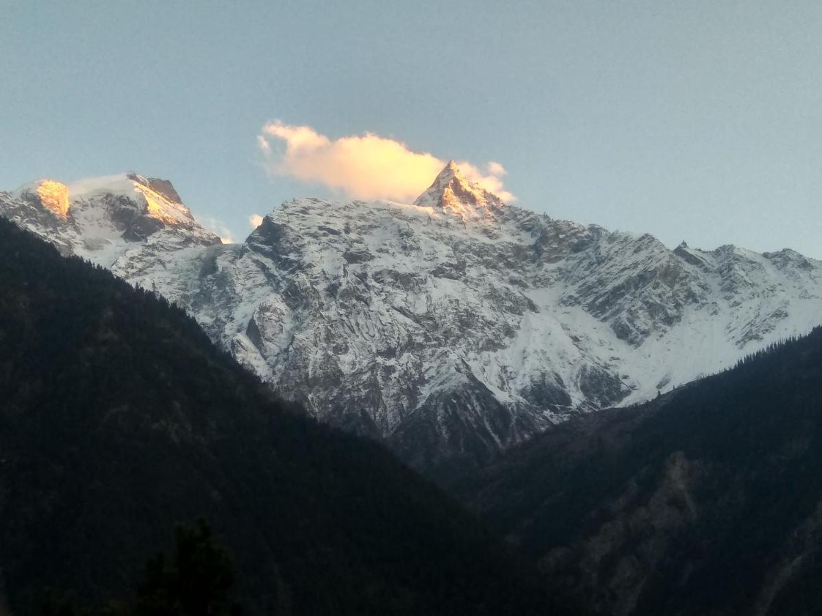 Wanderers Homestay -All Mountain Facing Rooms Kalpa Esterno foto