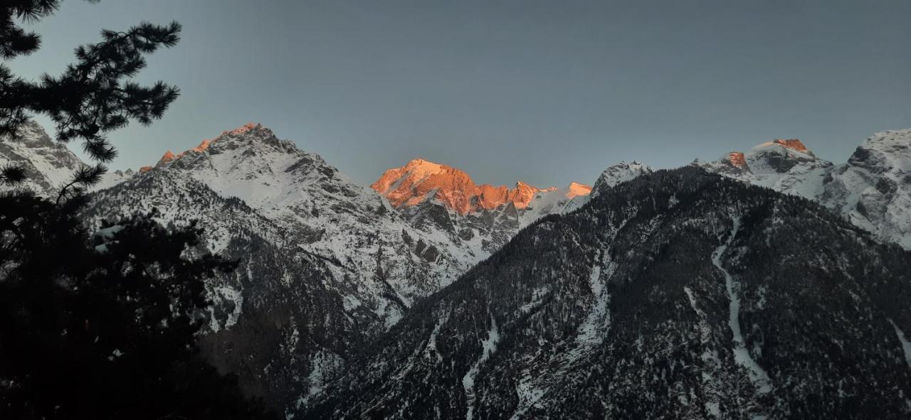 Wanderers Homestay -All Mountain Facing Rooms Kalpa Esterno foto