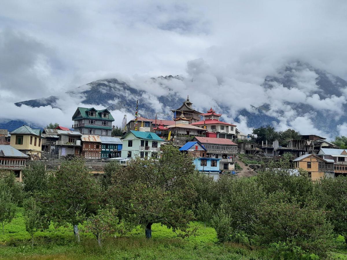 Wanderers Homestay -All Mountain Facing Rooms Kalpa Esterno foto