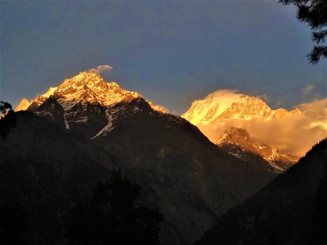 Wanderers Homestay -All Mountain Facing Rooms Kalpa Esterno foto