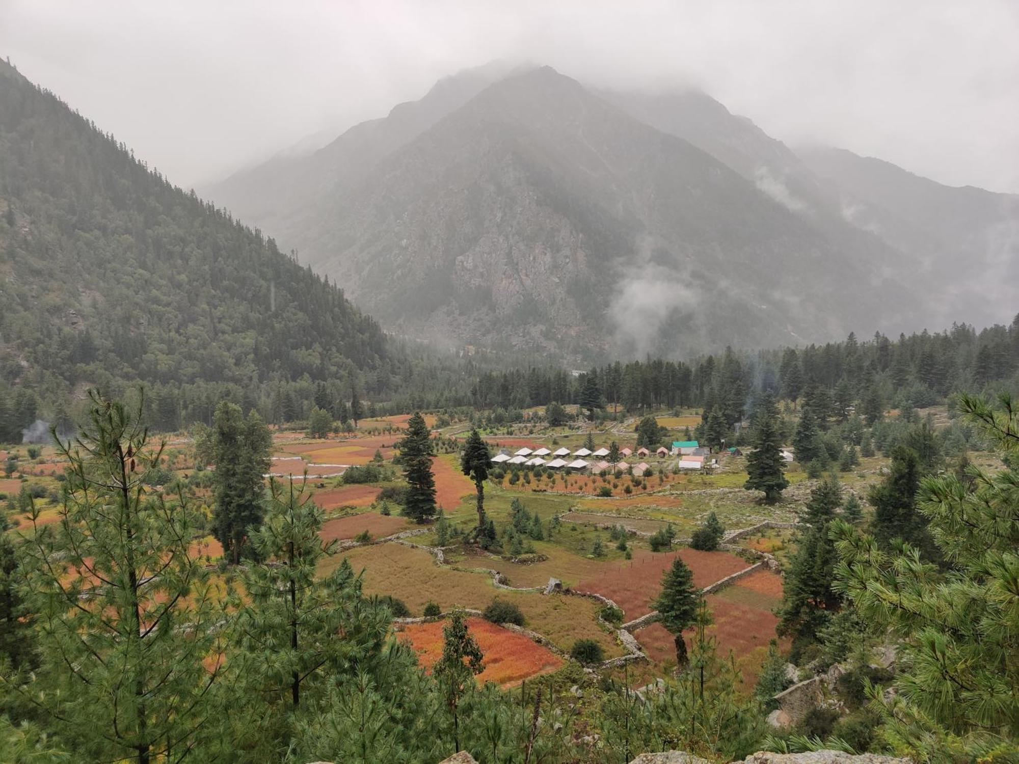 Wanderers Homestay -All Mountain Facing Rooms Kalpa Esterno foto